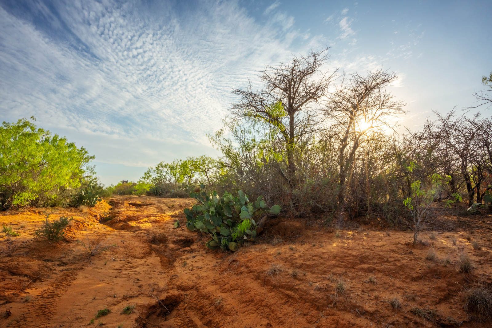 260 +/ acres, La Salle County Ruple Properties