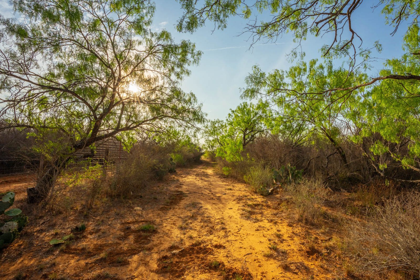 260 +/ acres, La Salle County Ruple Properties