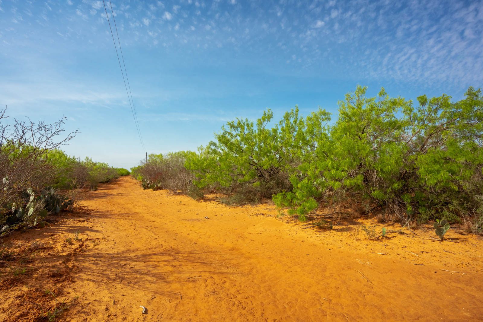 260 +/ acres, La Salle County Ruple Properties