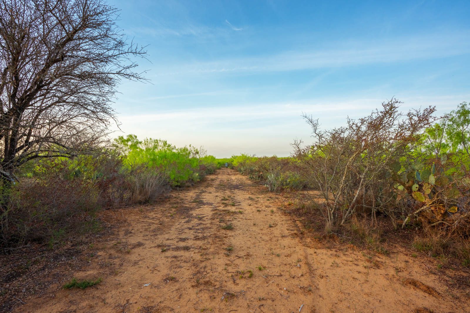 260 +/ acres, La Salle County Ruple Properties