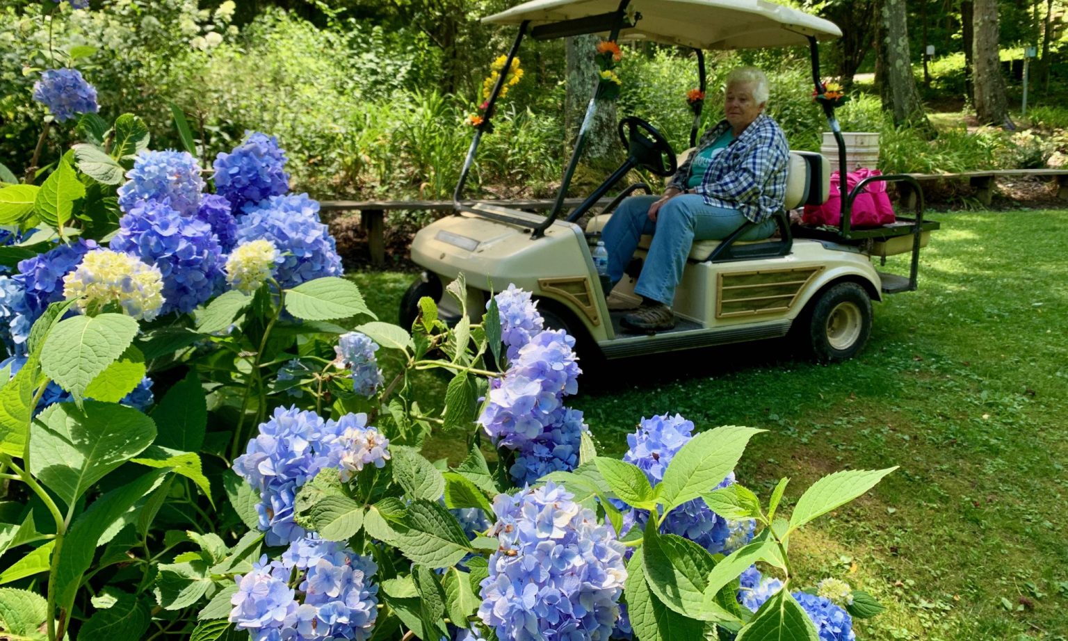 Gardens Provides a Beautiful Education Rural Action