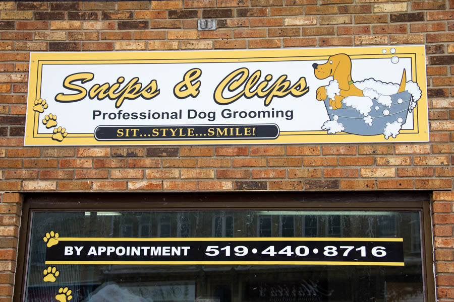 Snips & Clips Dog Grooming RuralBuzz