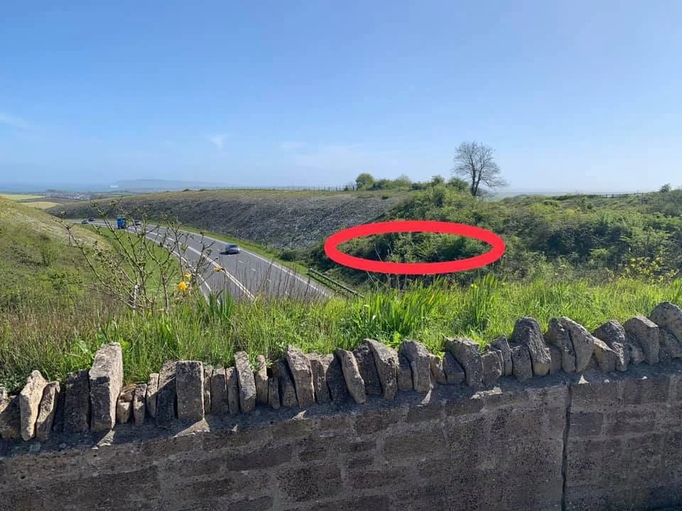 Explore the Viking Burial Secrets of South Dorset