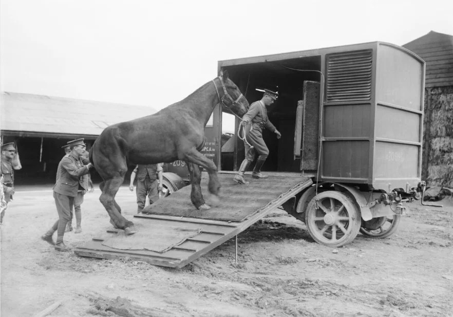 Farming Heroes Britain's War Horses RuralHistoria