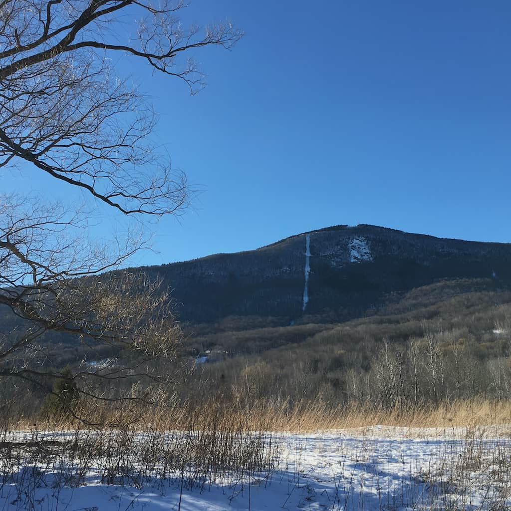 Guided Hike Series Mt. Greylock Williamstown Rural Lands