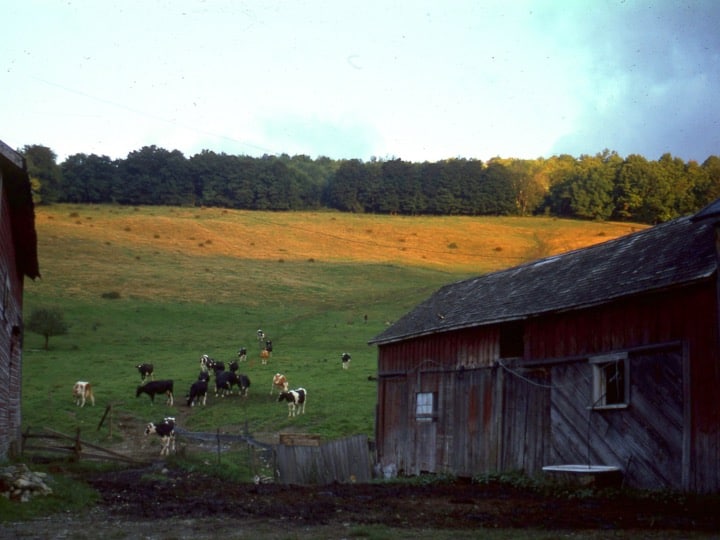 Rosenburg Tenure to WRL Williamstown Rural Lands