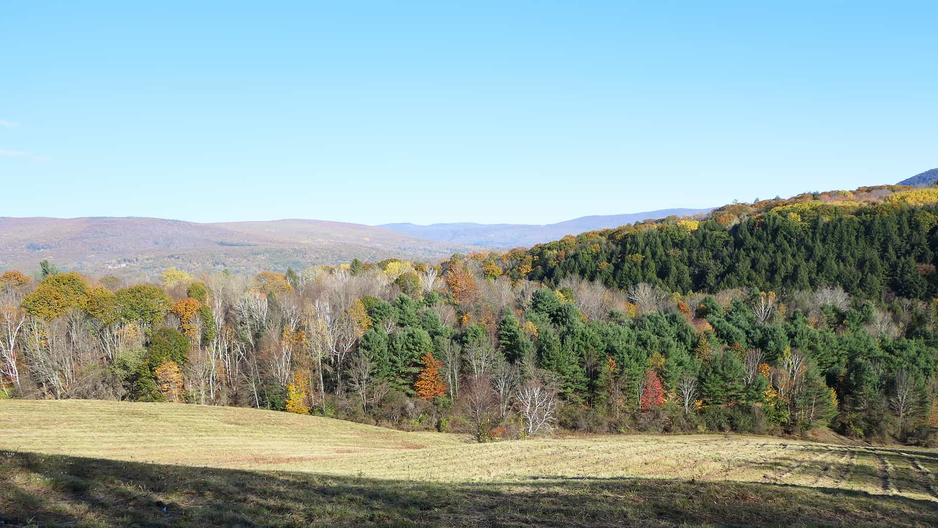 The restoration of an place Williamstown Rural Lands