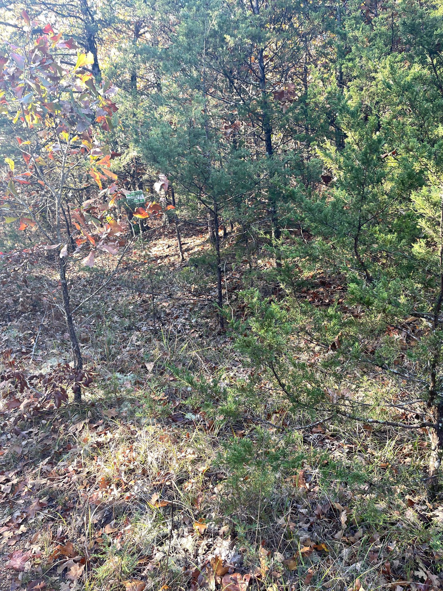 gps 36.3853 92.1983 Sapling Lane off Norfork Lake Dr Lot 2 bl 7 4800