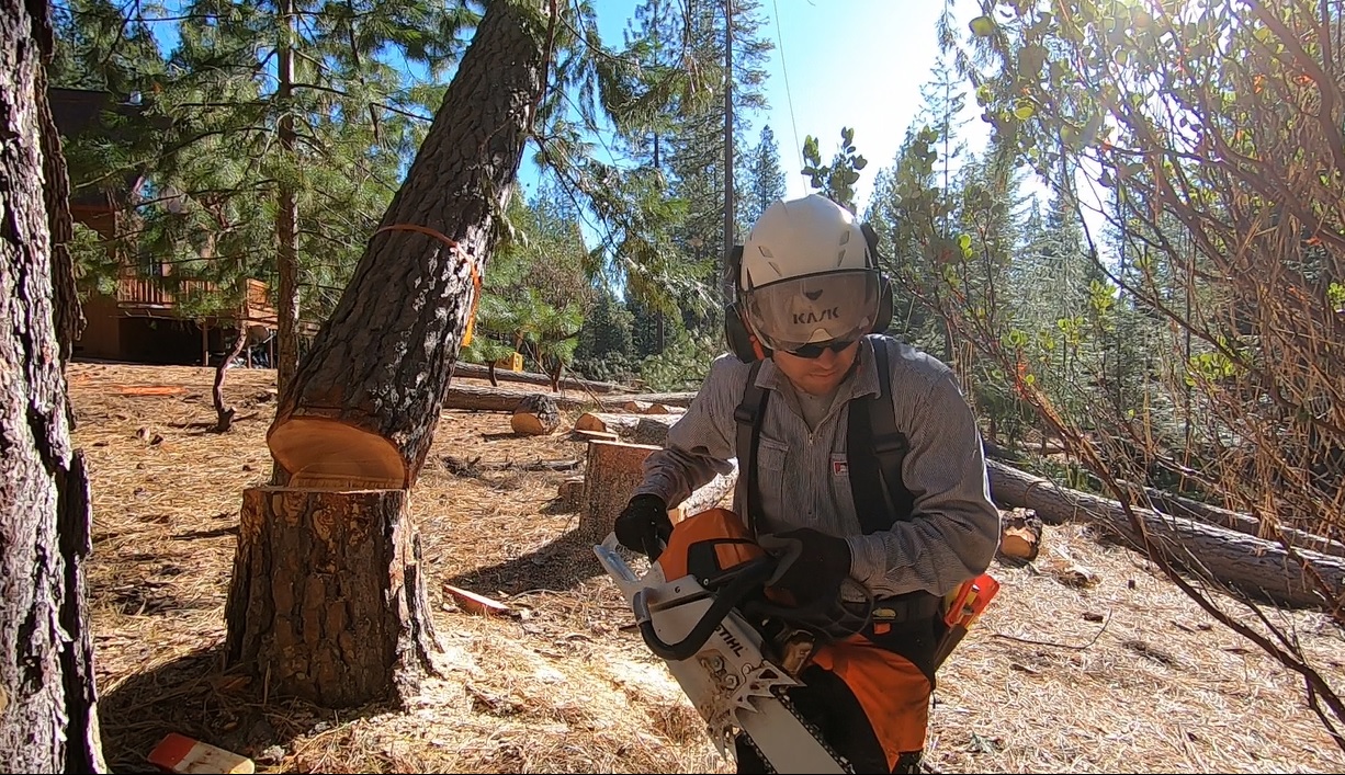 Tree & Brush Removal Services Placerville CA Brush Clearing, Tree