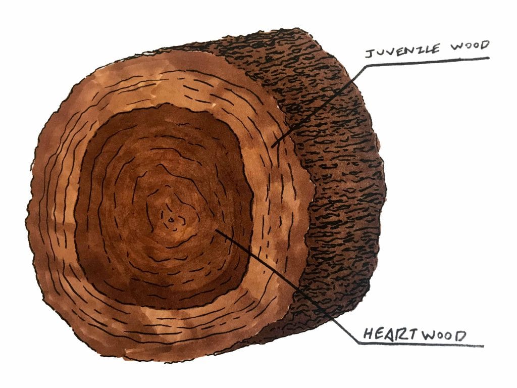 Wood Wise Rural Studio