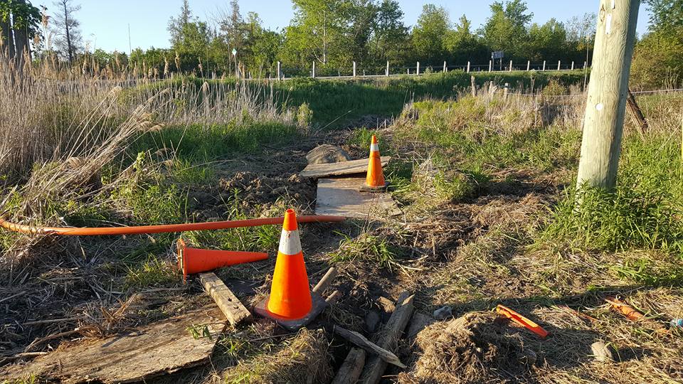 Manilla Fibre Ruralwave