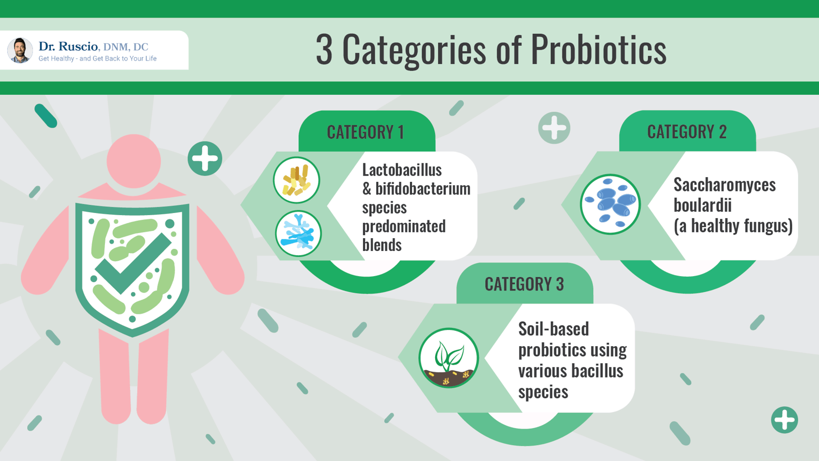 How to Use SIBO Probiotics to Personalize Your Treatment