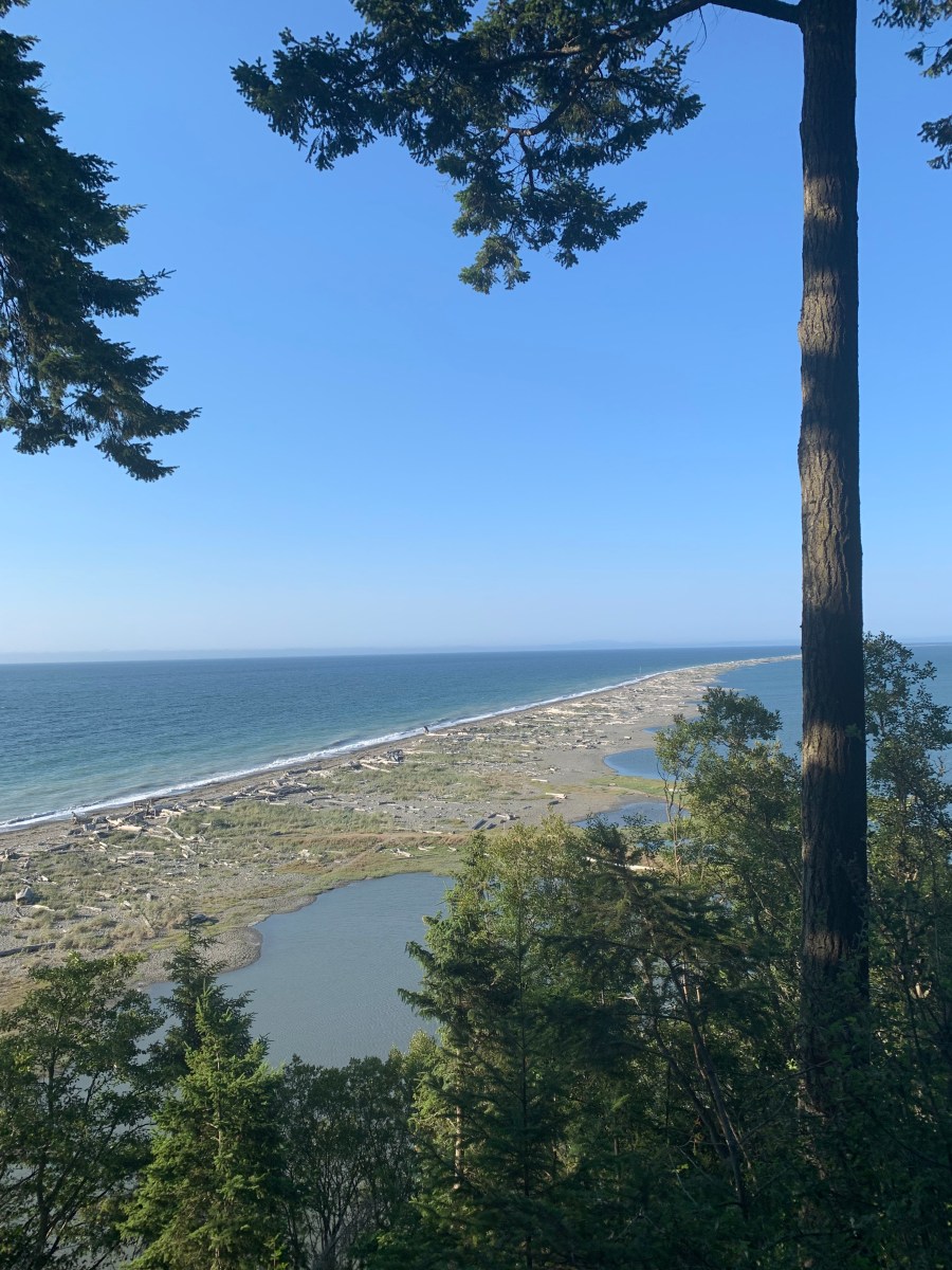 Journey to the Olympic Peninsula CallingallRushBabes