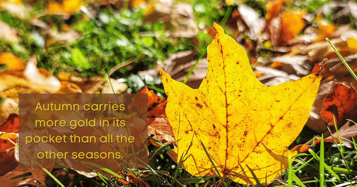 Fall in Rush County • Rush County Community Foundation