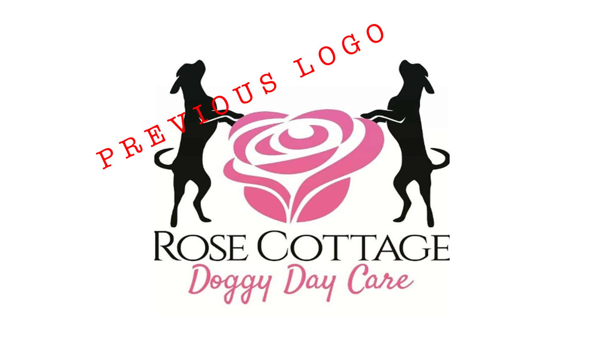 Rose Cottage Doggy Daycare Rushfirth Creative