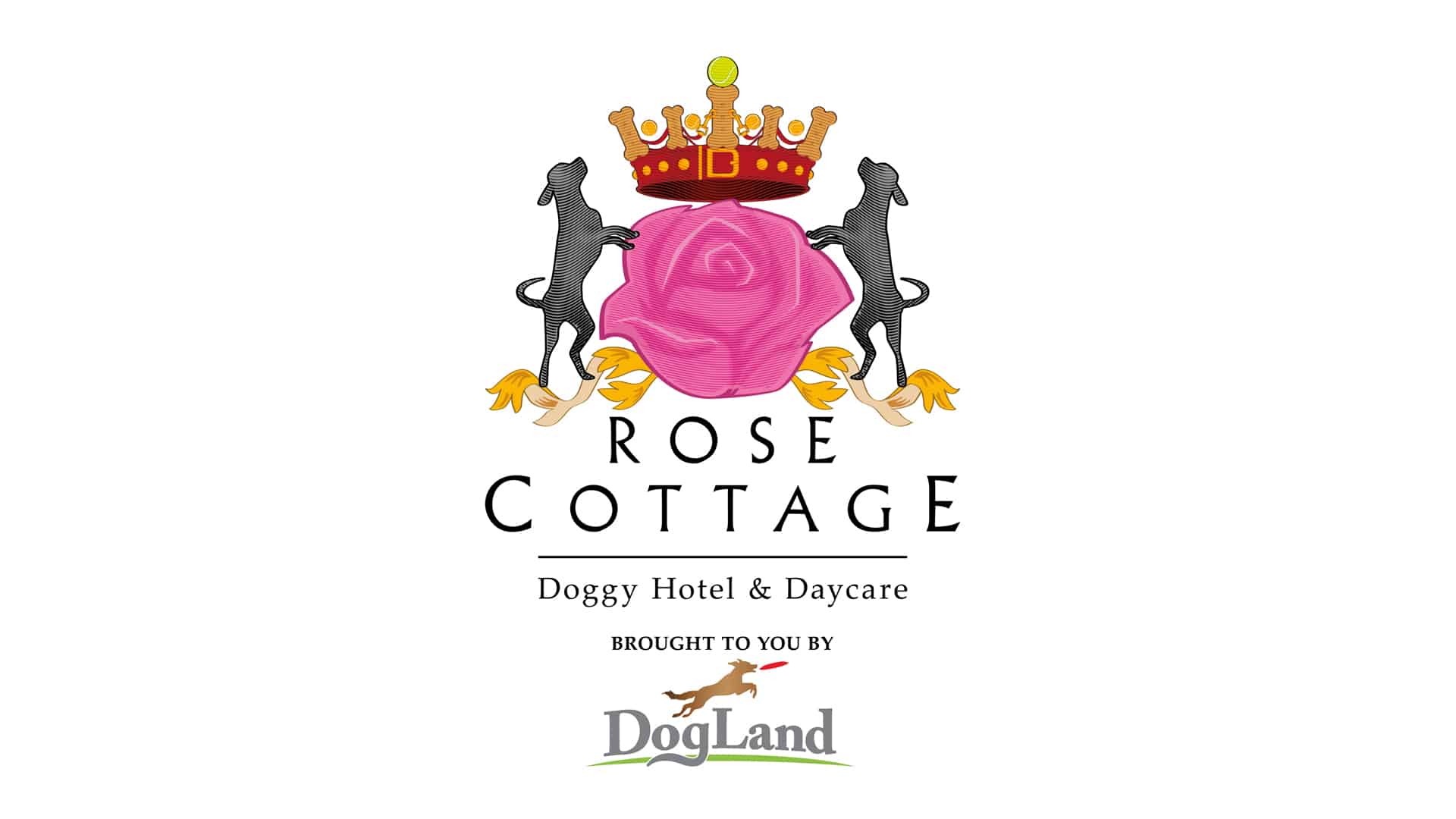 Rose Cottage Doggy Daycare Rushfirth Creative