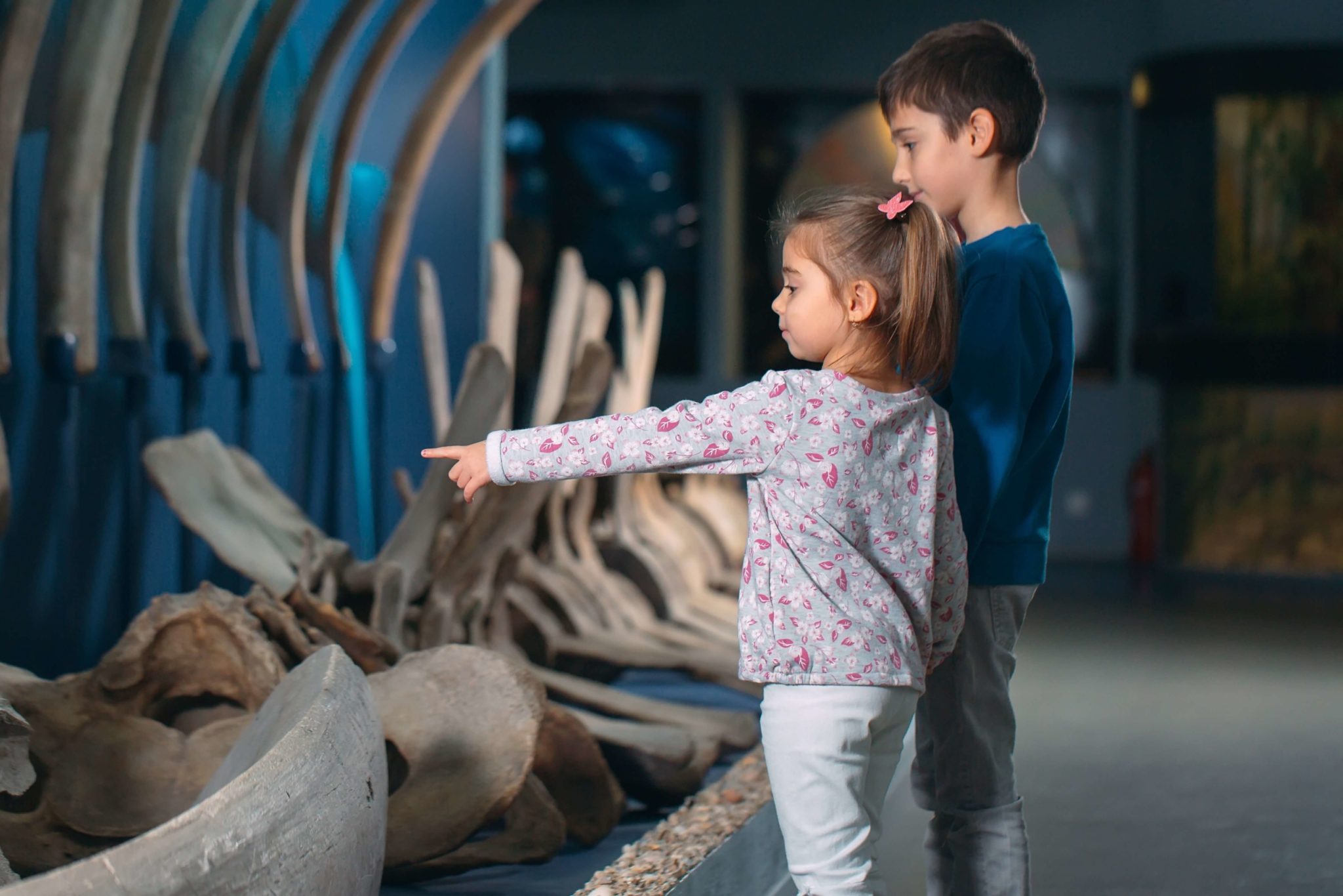 Find a Keystone Museum For You Rushmore Express Inn