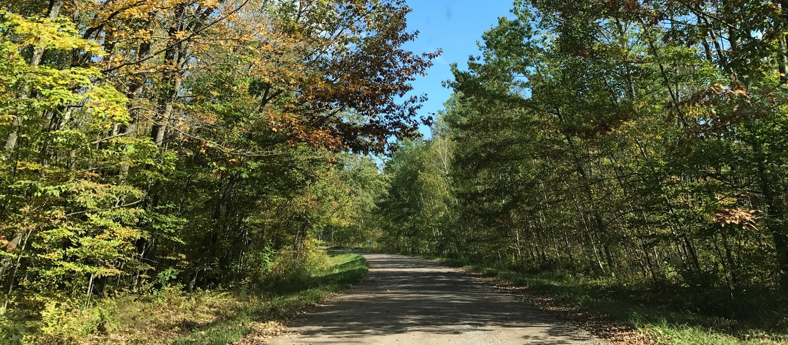 County Forest Logging Roads Rusk County Wisconsin Rusk County Wisconsin