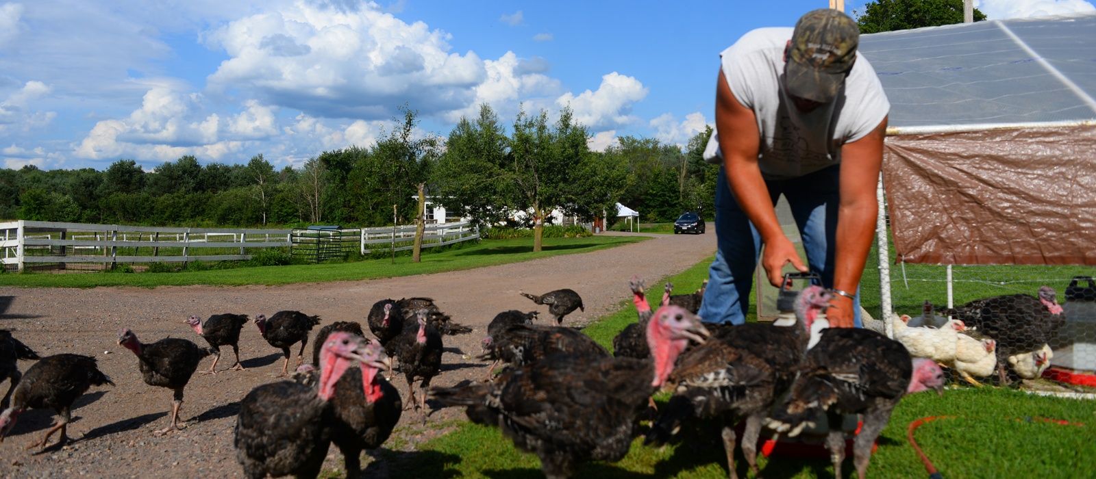 Maple Hill Farm Rusk County Wisconsin Rusk County Wisconsin