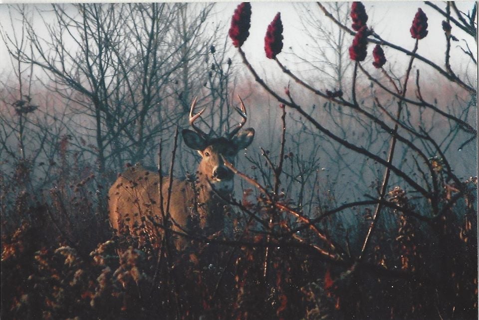 Hunting Rusk County WI Maps and Public Hunting Areas Rusk County
