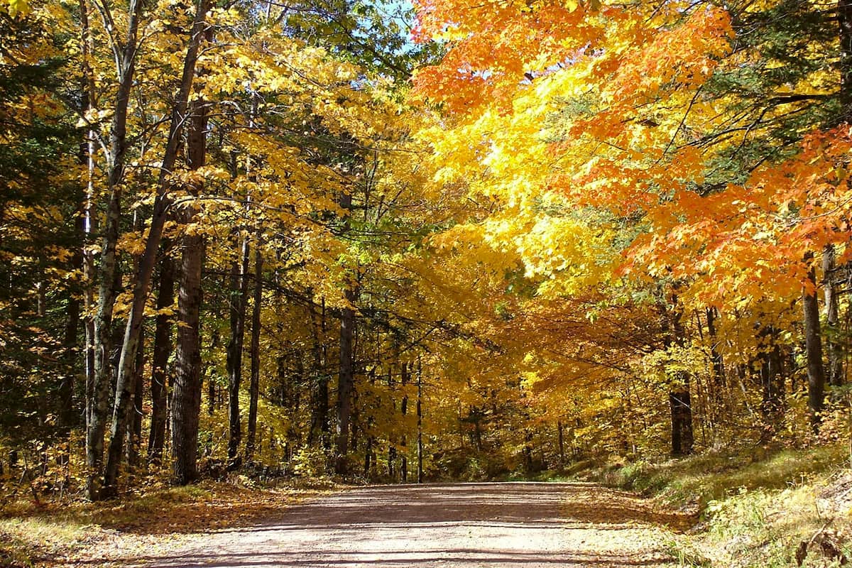 Where to see Rusk County's best fall color Rusk County Wisconsin