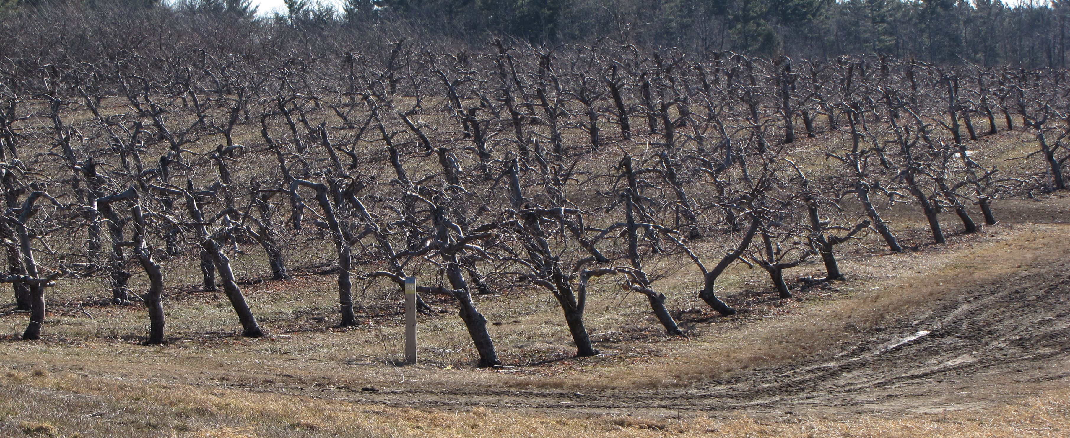 Sholan Farms, Leominster, Massachusetts (Russell Steven Powell photo