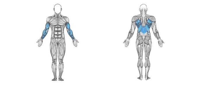UNDERHANDGRIP INVERTED ROW • Russ Howe PTI