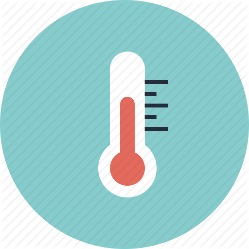 Russian Tortoise Care Guide [2022 Update] Pro Advice From Breeders