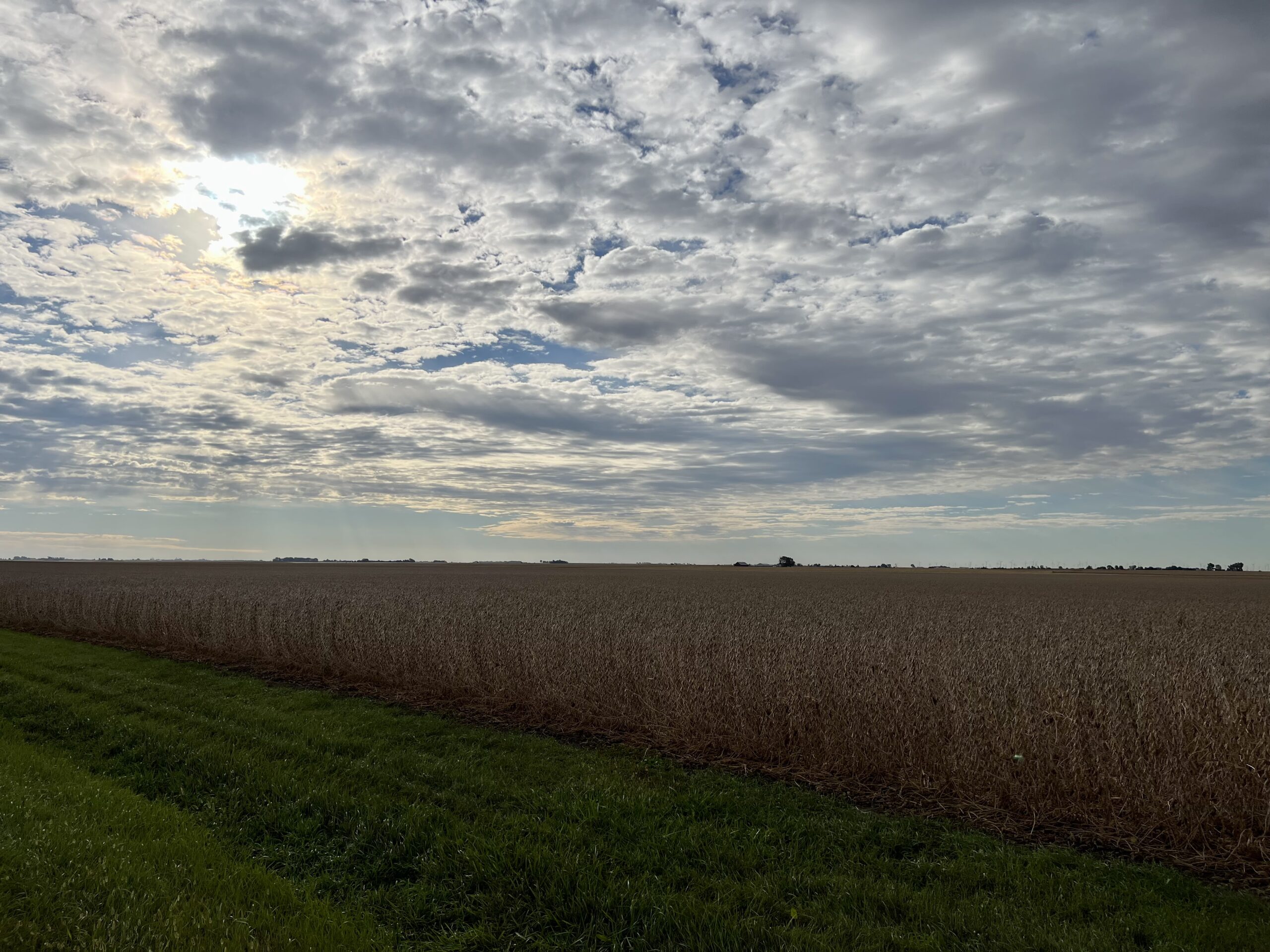 Ashkum, IL. Cycling