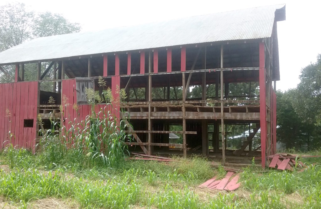 Vienna, MO Rustic Grain