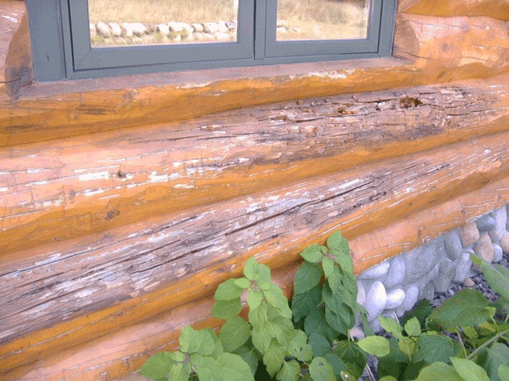 Log Home Rot Repair, Everything You Need To Know Rustic Insider