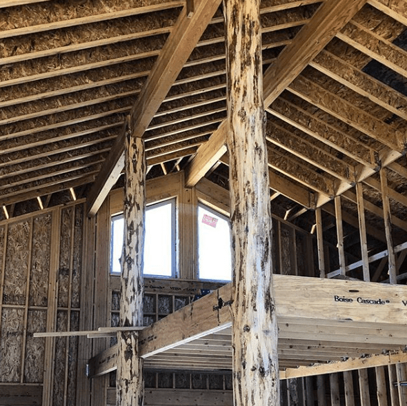 Woodland Park Home Builder