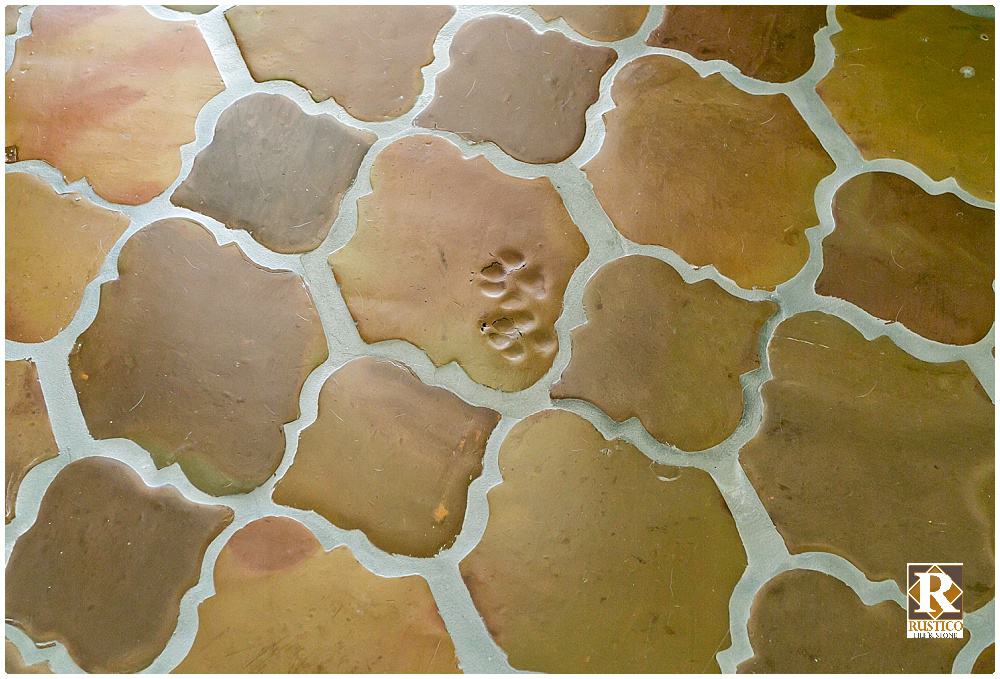 Paw Prints on Saltillo Tile Real or Fake Terracotta Paw Prints?