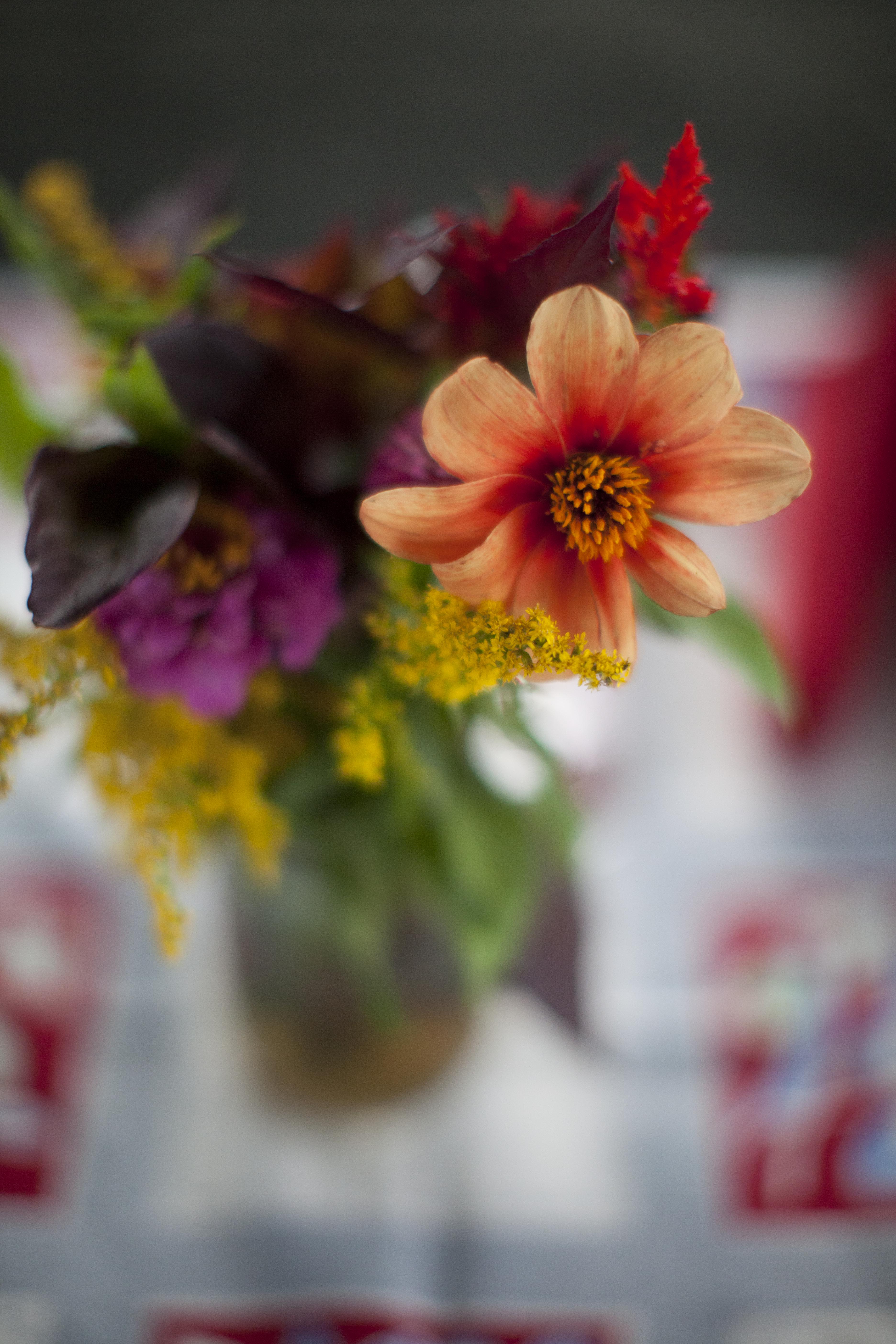 Gallery 3 Rustic Wedding Venue Kerhonkson, NY