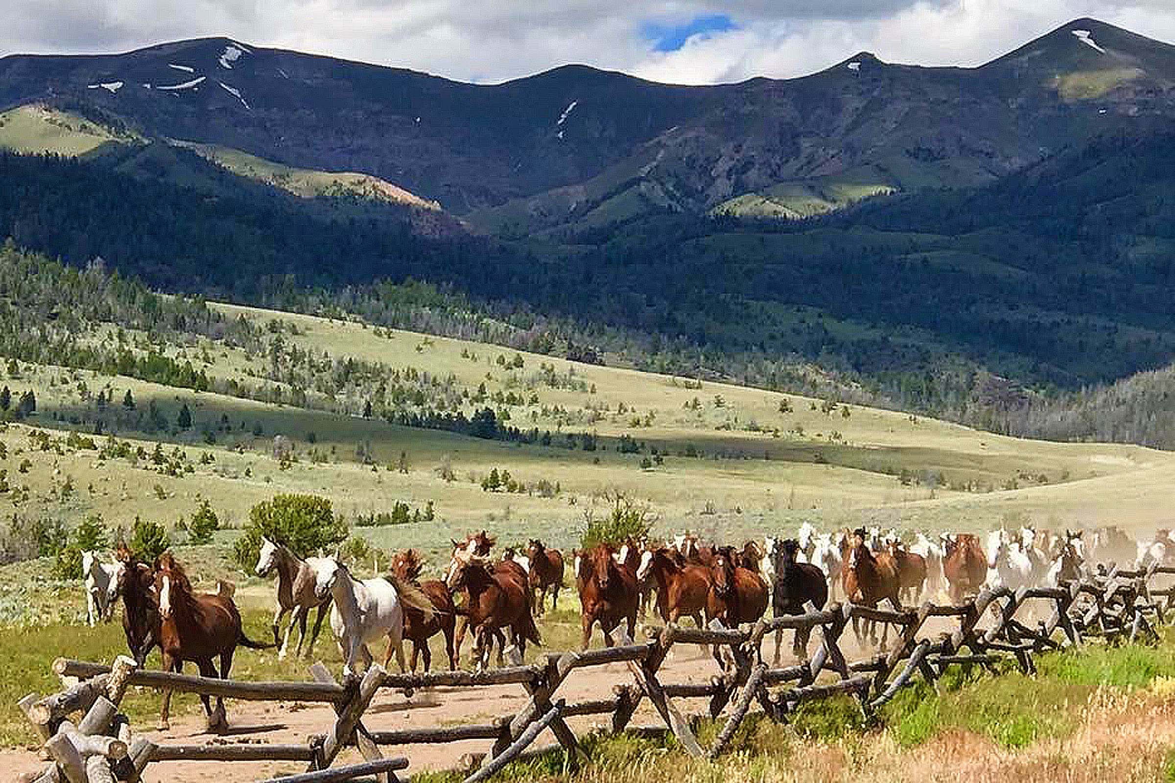 Bitterroot Ranch Rustic Vacations