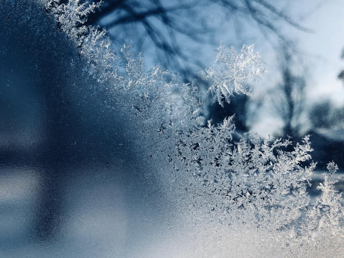 Can a Freezer Be Kept in an Unheated Garage? Here’s What You Need To
