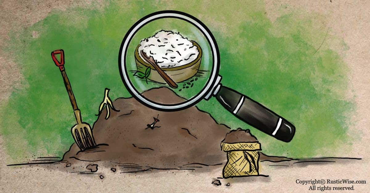 Can You Compost Rice? How to Add to Compost Without Attracting Pests