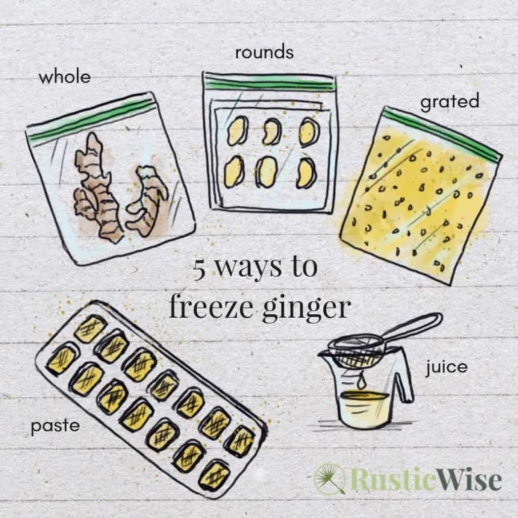 How to Freeze Fresh Ginger Root 5 Ways RusticWise