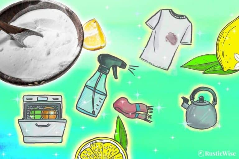 How To Use Citric Acid for Cleaning 7 Easy DIY Recipes RusticWise