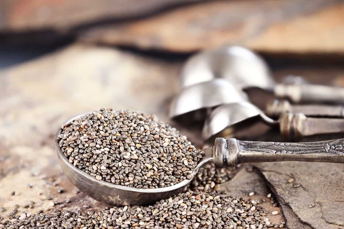 How To Grow Chia Sprouts 3 Ways (Quick and Easy!) » RusticWise