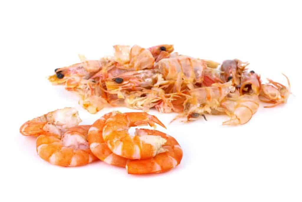 Can You Compost Shrimp Shells? How Shrimp Shells Help Your Garden