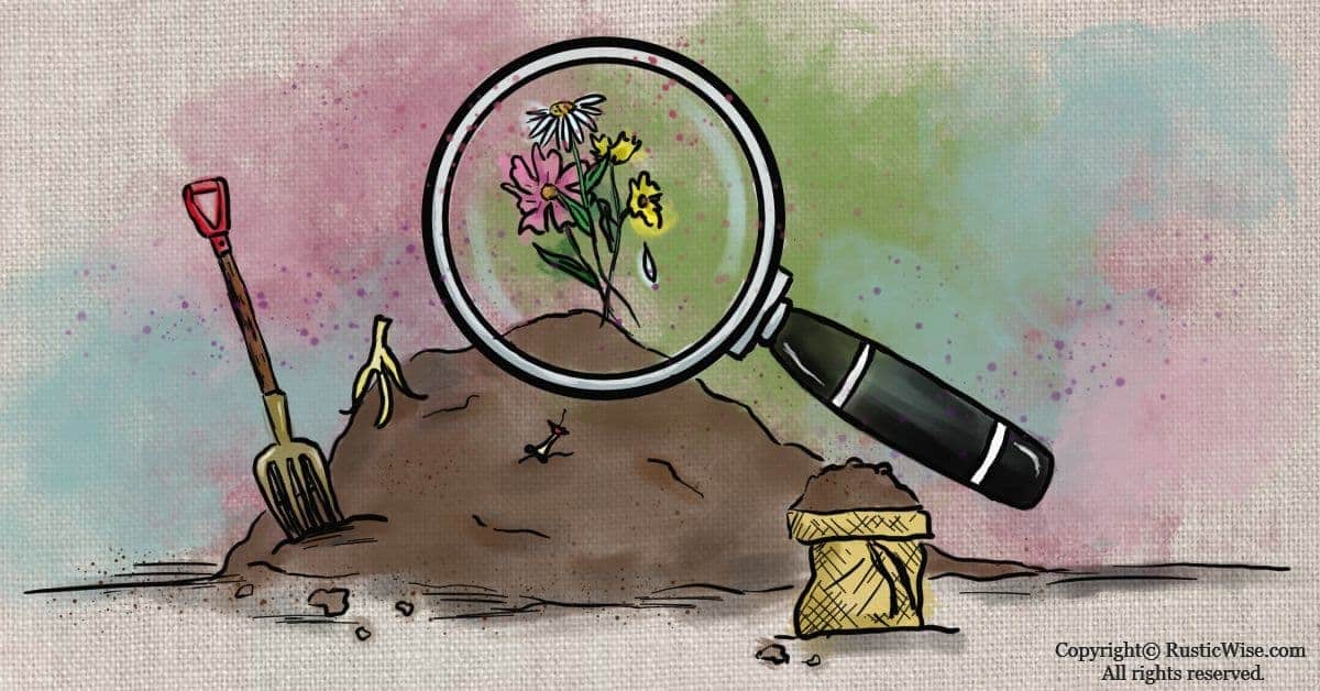 Can You Compost Flowers? Yes, Here's Why You Should » RusticWise
