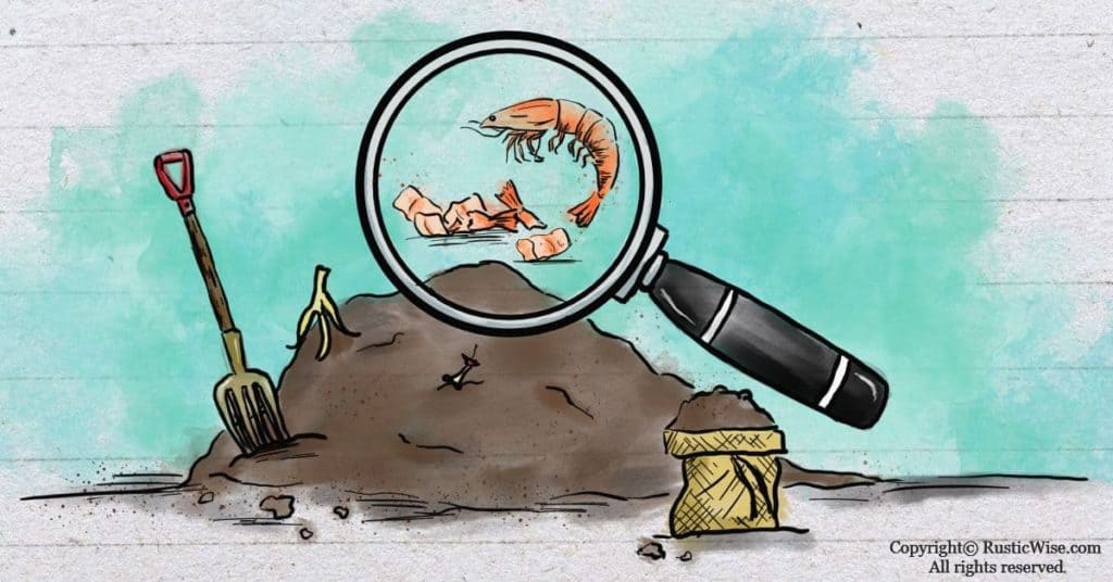 Can You Compost Shrimp Shells? How Shrimp Shells Help Your Garden