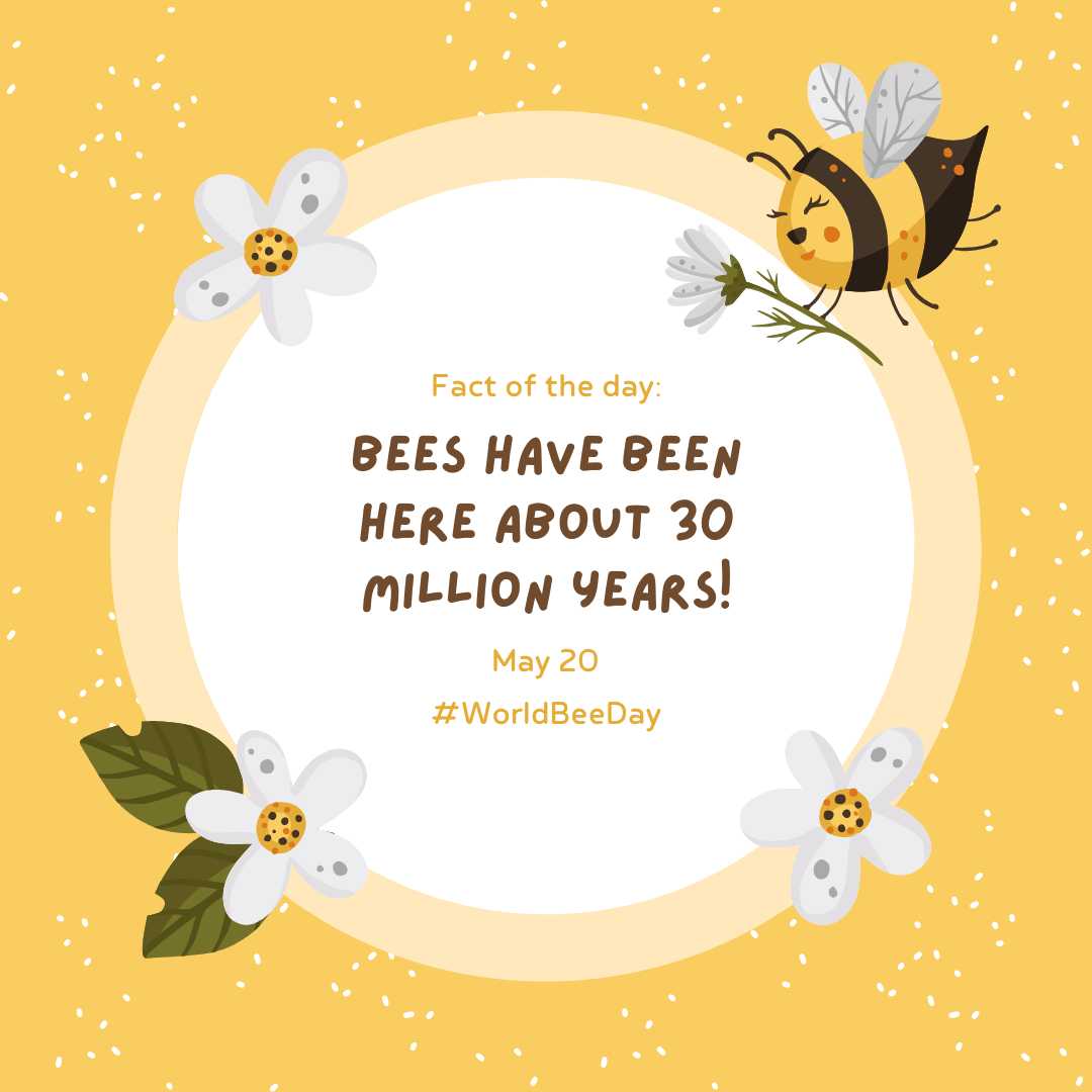 The Amazing Work of Bees Rust Nutrition Services Chew The Facts®