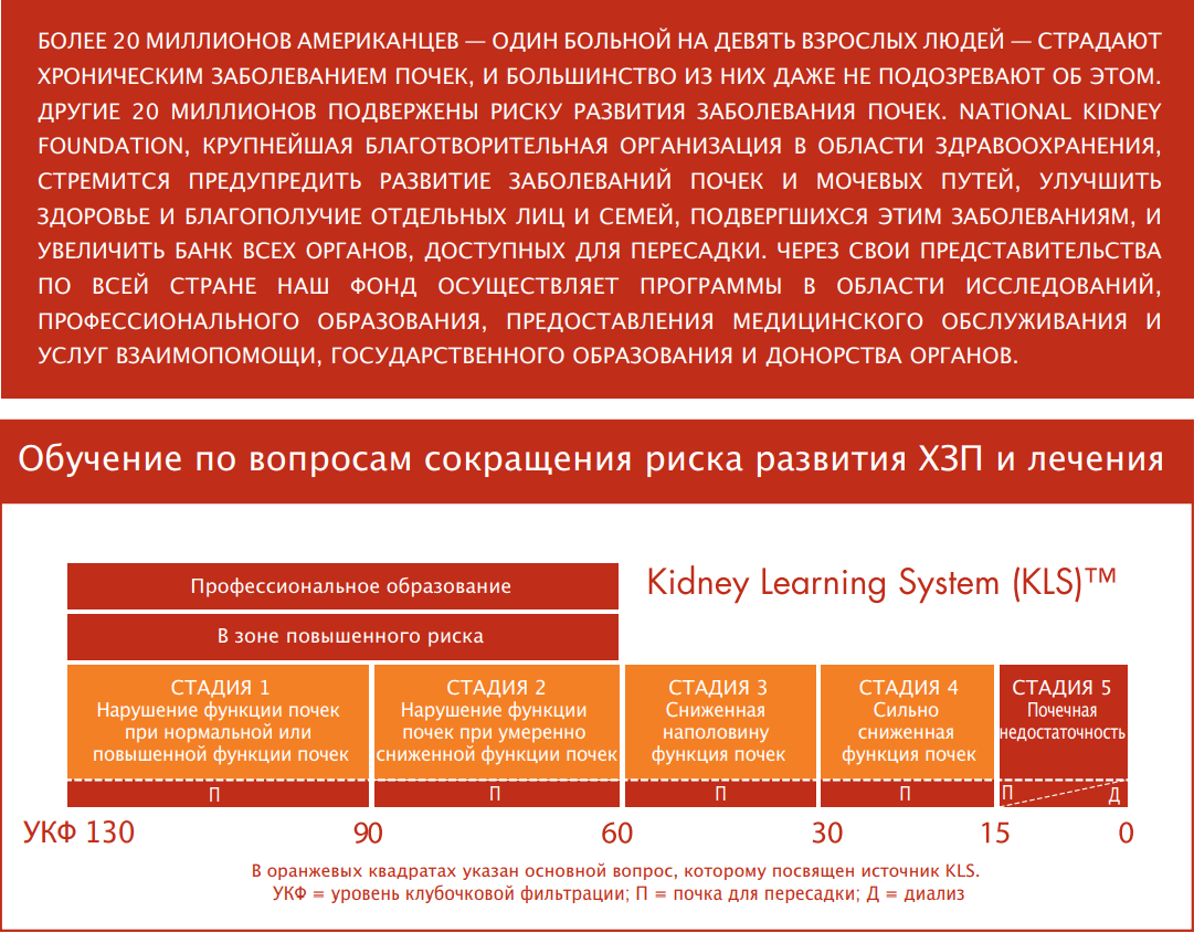 риск заболеваний почек и лечение картинка