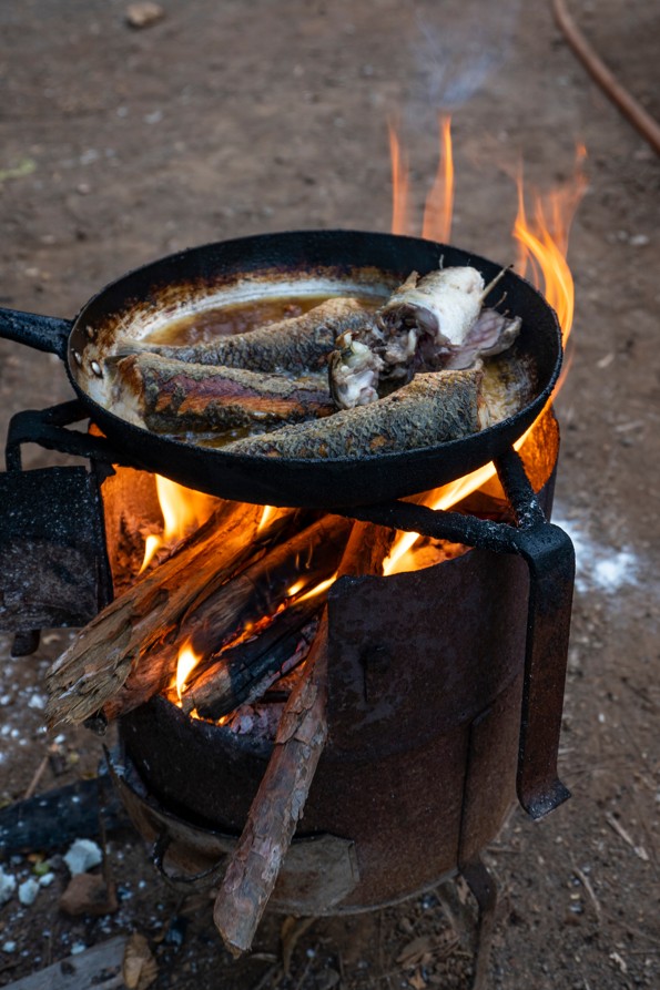 Cooking Fish at Camp Caveman Style Cooking Pan Cooking Perch, Trout