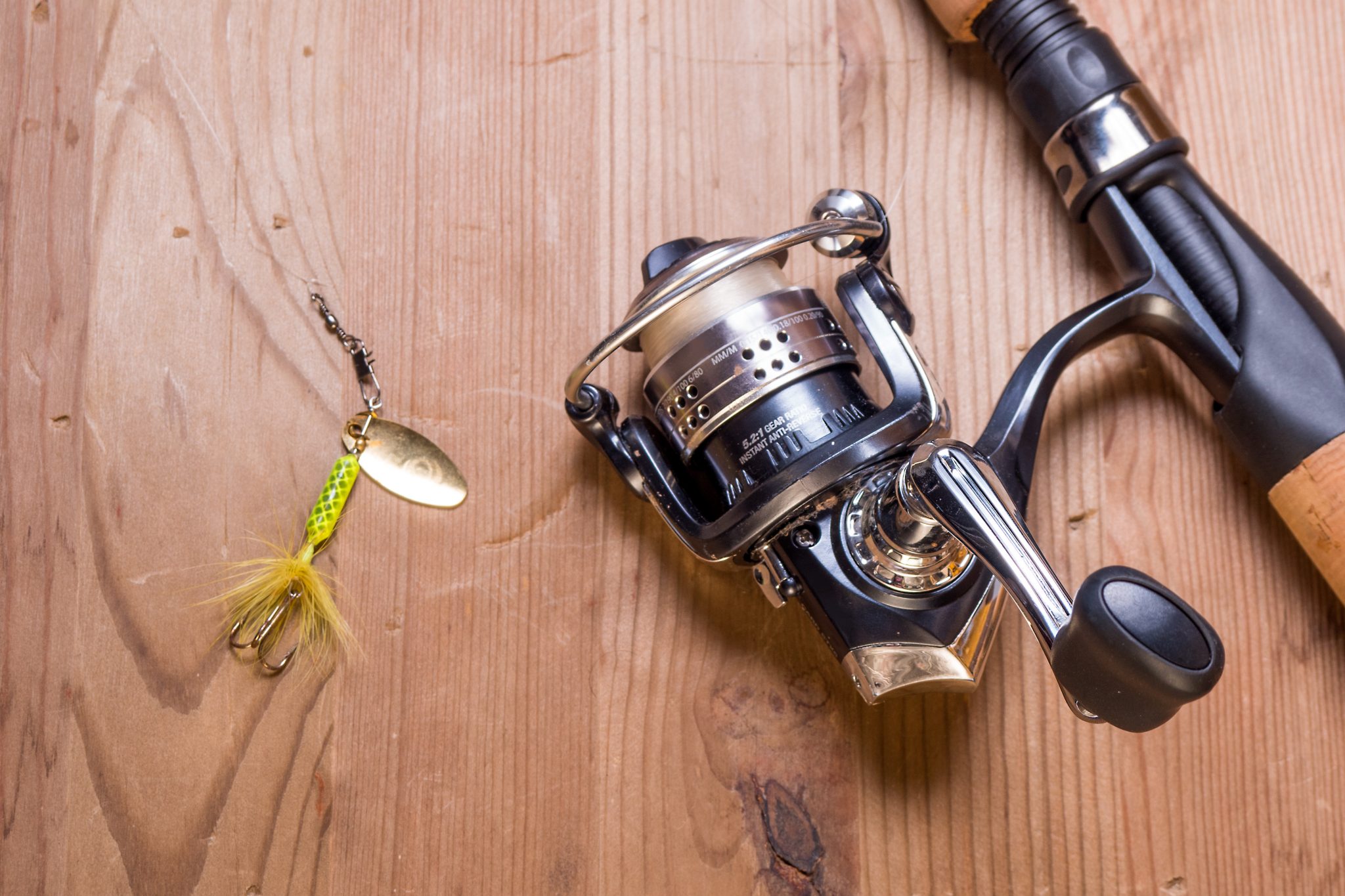 Best Bass Rods for Serious Anglers Size Matters