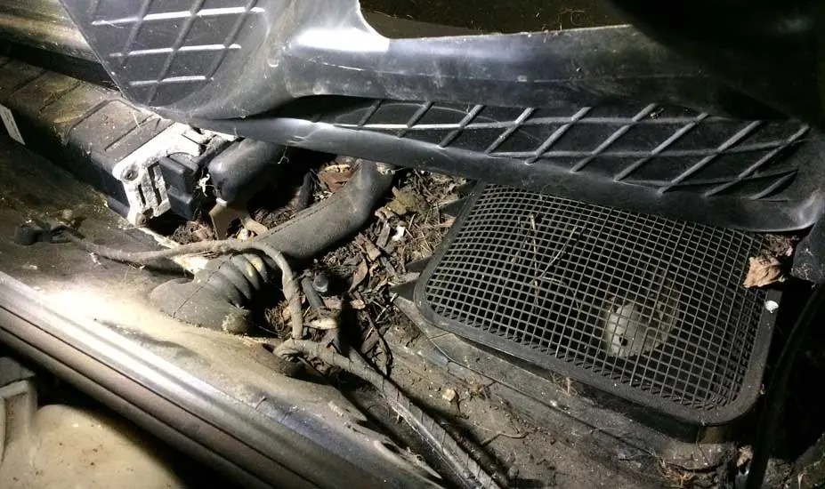 Car Floor Wet Under Mat (Top 5 Causes)