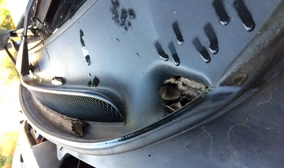 Car Floor Wet Under Mat (Top 5 Causes)