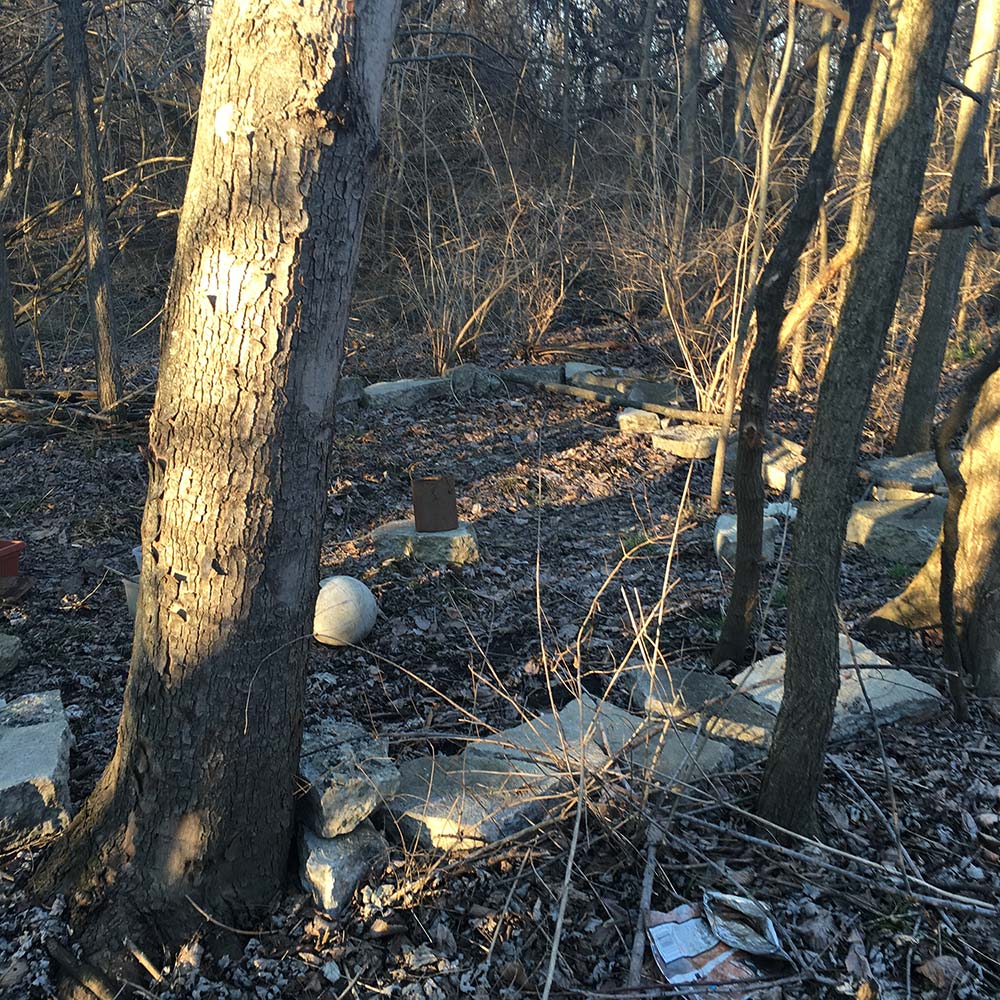 Cooking, Dogs, and Rearranging Furniture Rusty Fox Farm